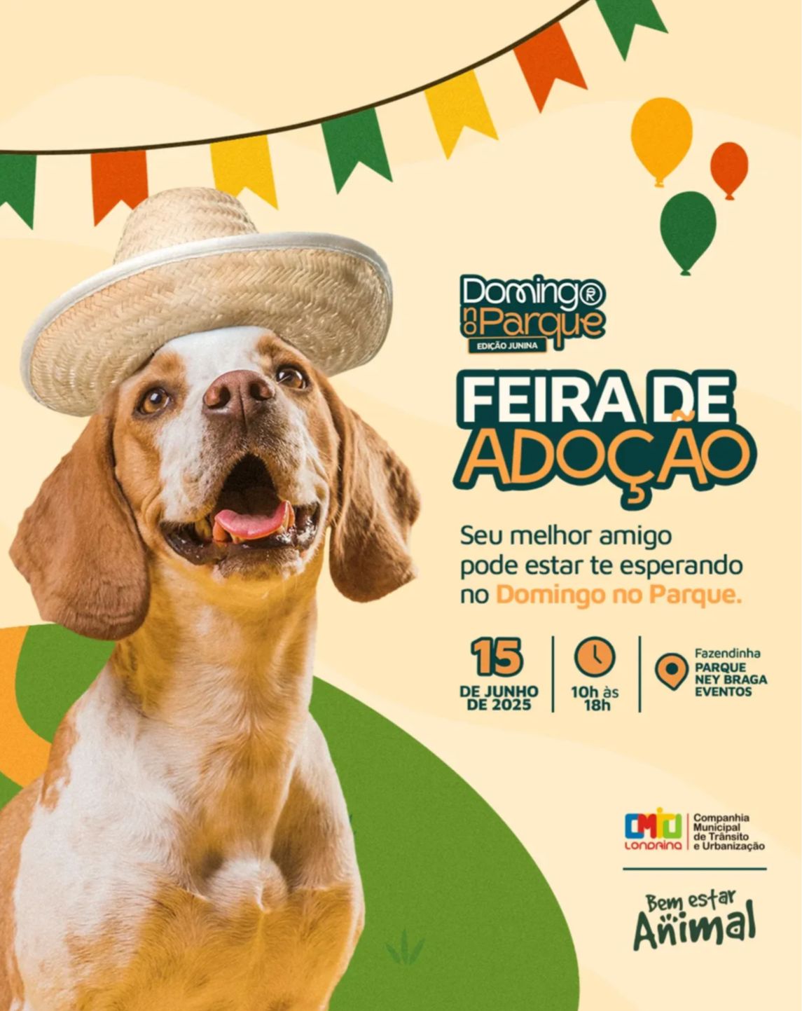 Imagem da Notícia